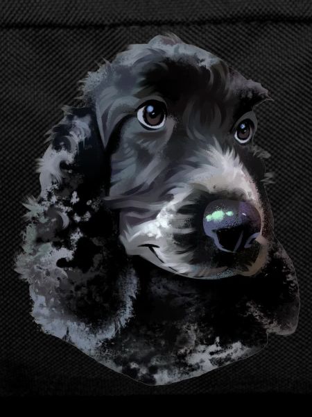 Cocker Spaniel dog