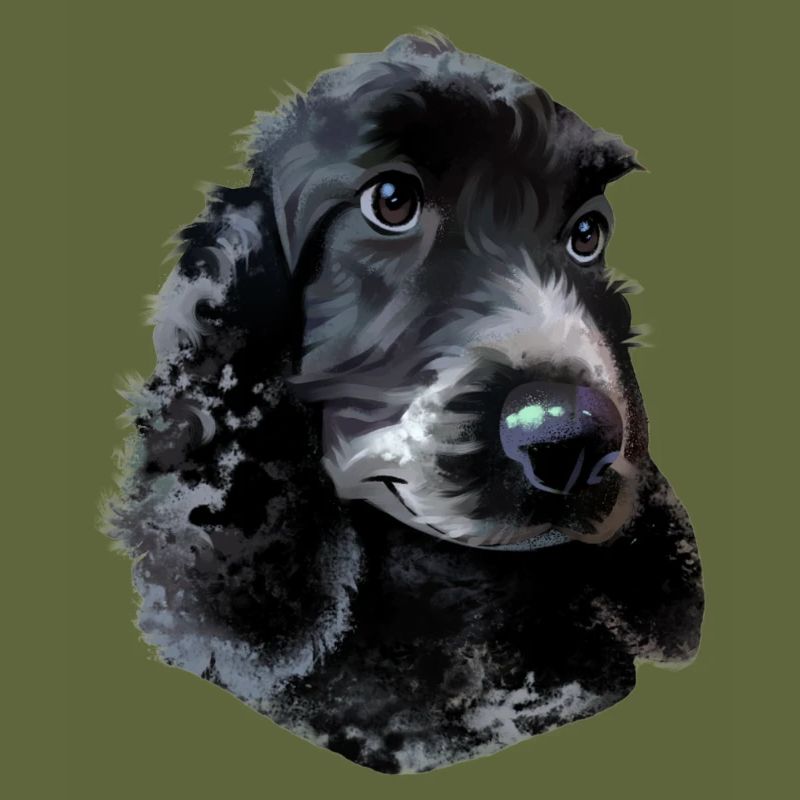 Cocker Spaniel dog