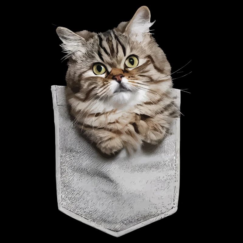 Perserkatze in der Tasche Geschenk