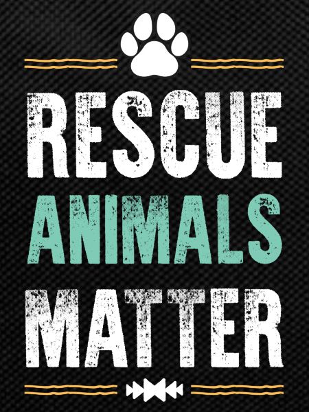Animals Matter Animal Welfare
