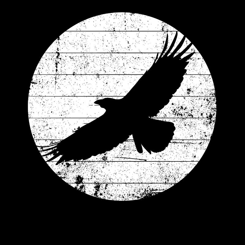 Raven - crow