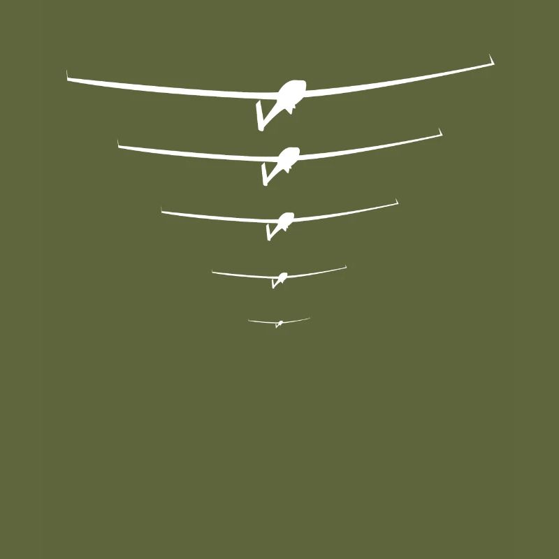 Glider pilot glider flying glider