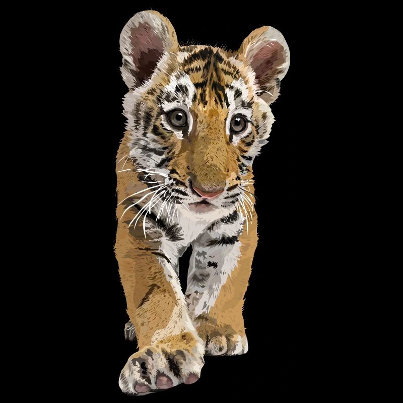 bengalischer Tiger