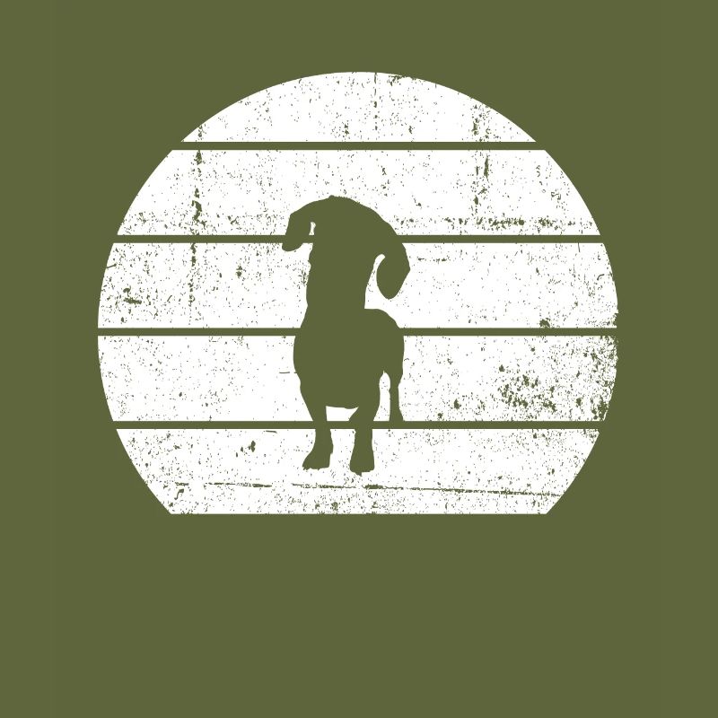 Teckel Chien de toit Teckel