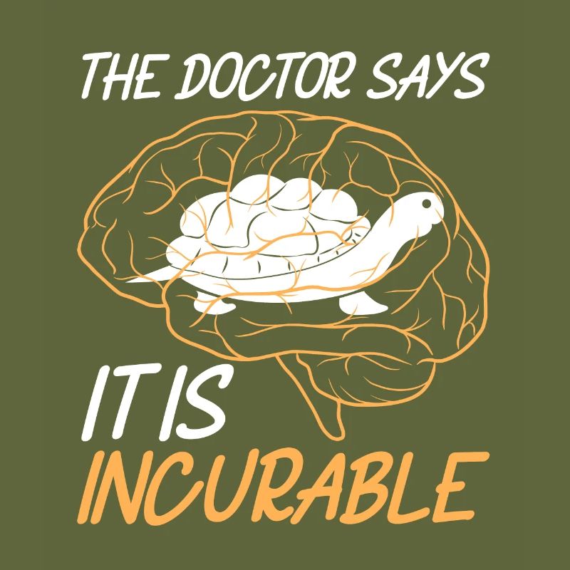 Tortues tortues