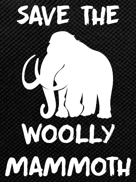 Mammoth