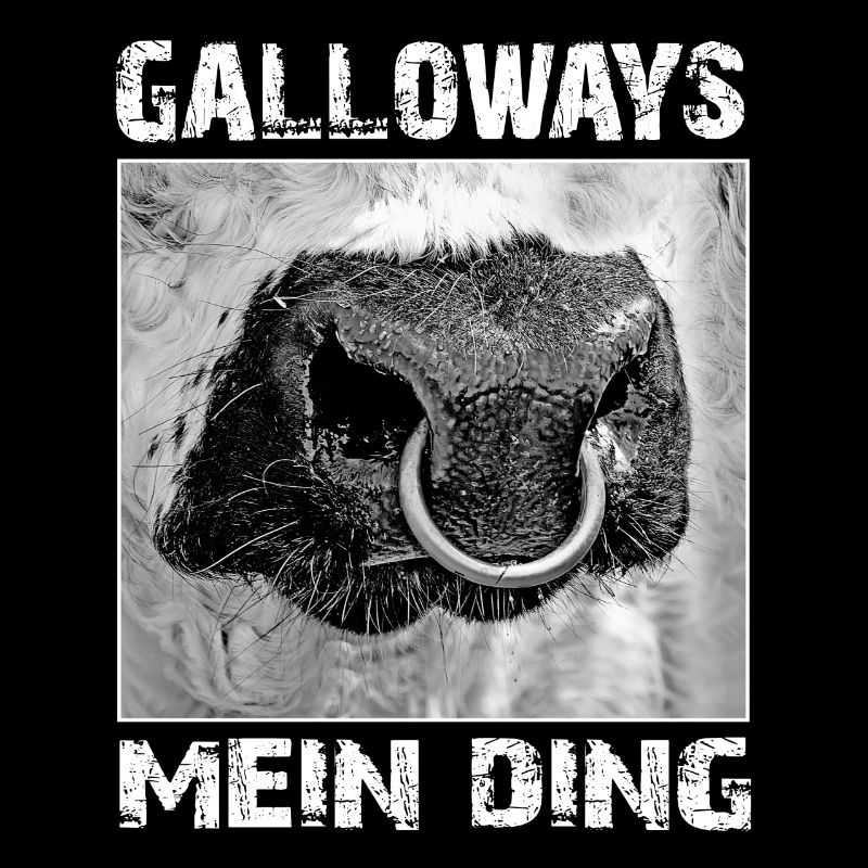 galloways mon truc | Galloway