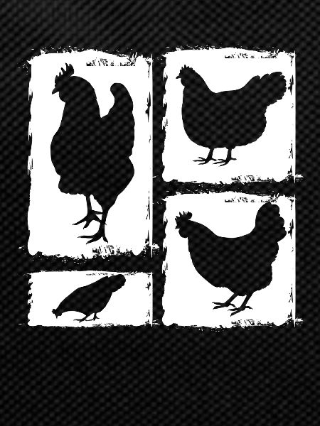Chickens Hen
