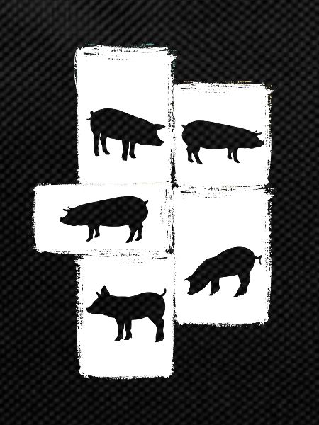 Pig