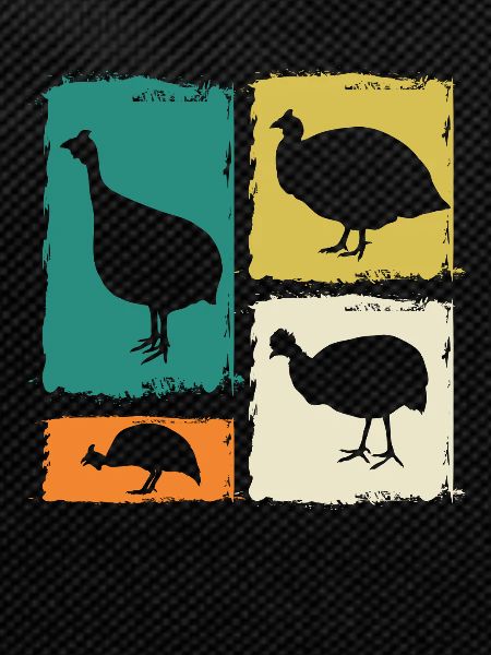 Chickens Rooster Guinea Fowl