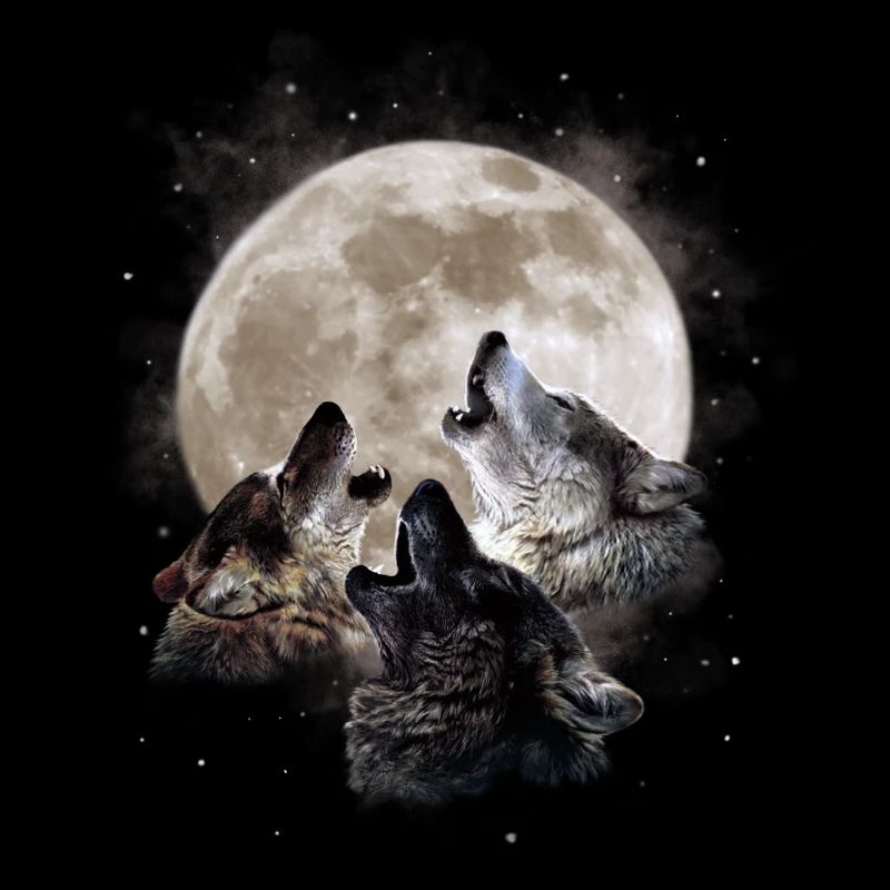 Howling wolves - wolf full moon