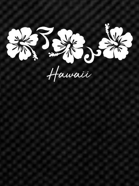 Hawaii Hawaii Hibiscus Flower
