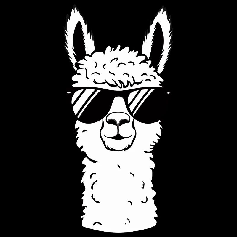 Alpaca llama alpacas animal