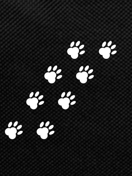 Paw prints
