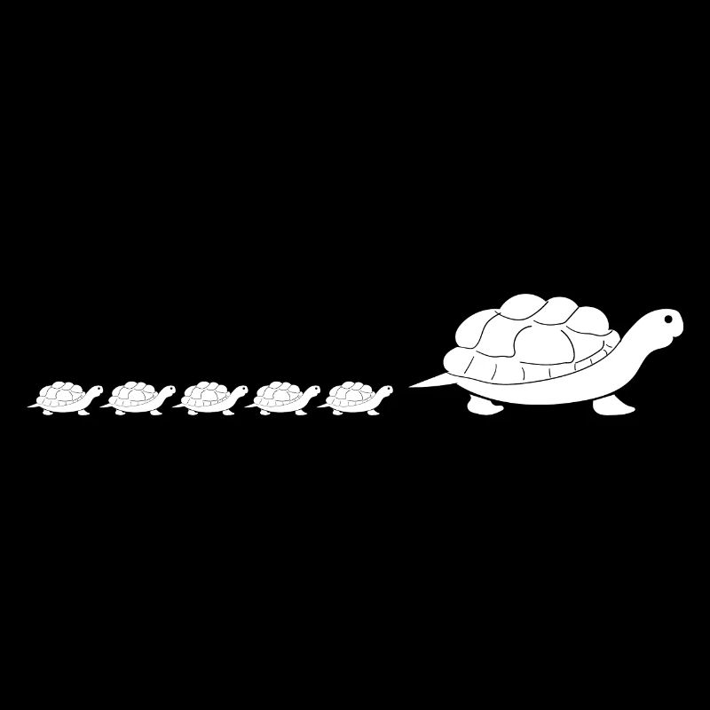 Turtle Turtle