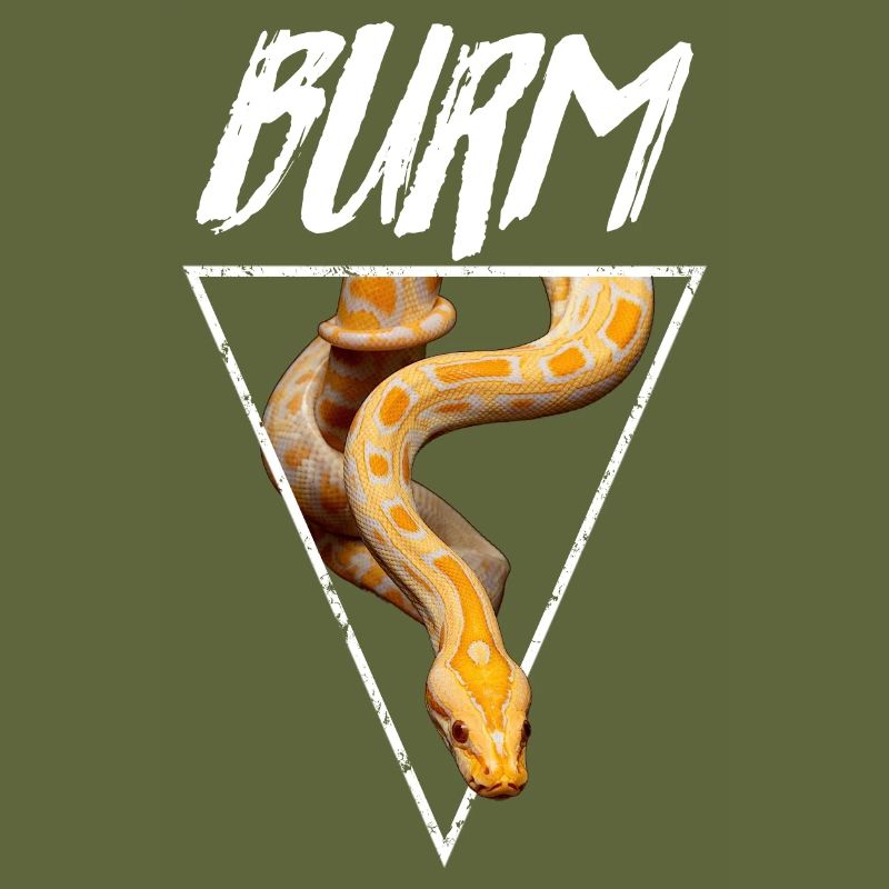 Albino Burmese Python Snake Owner