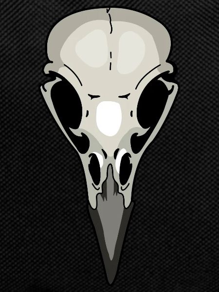 crow skeleton raven