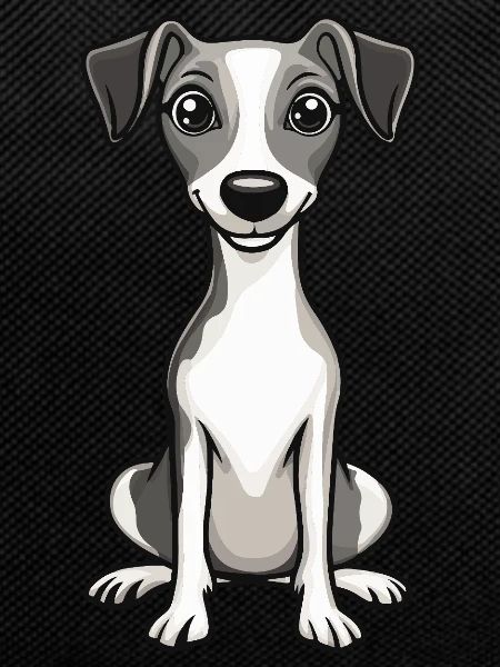 Whippet Dog Cute