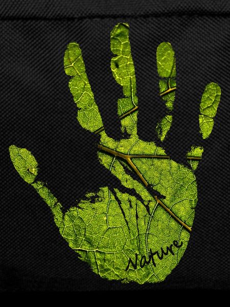 Hand nature