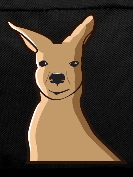 Kangaroo Kangaroo Australia Marsupial Pouch