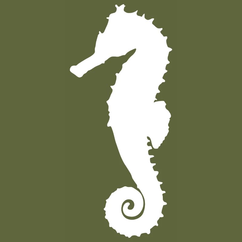 Hippocampe blanc