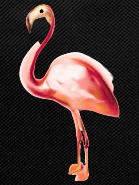 Flamingo pink pink gift idea