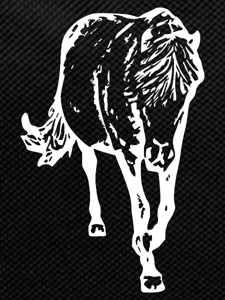 cheval