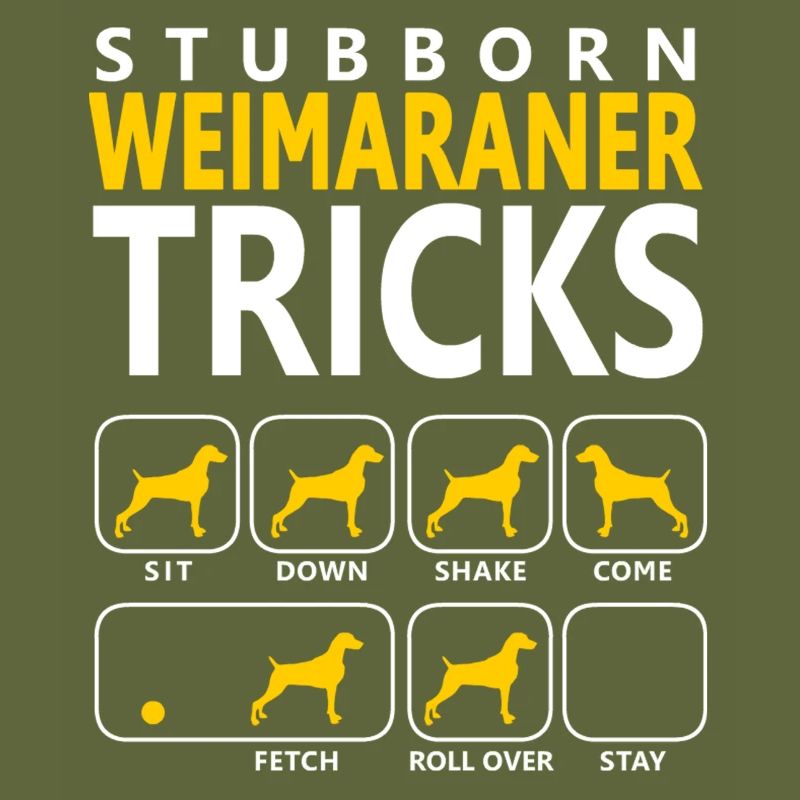 Stubborn Weimaraner Tricks