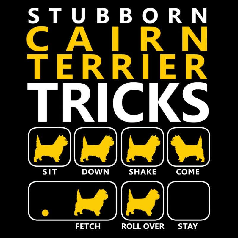 Astuces Cairn Terrier tenaces