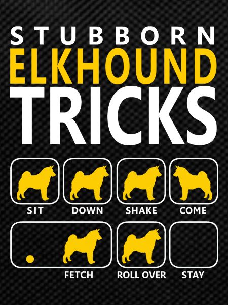 Stubborn Elkhound Tricks