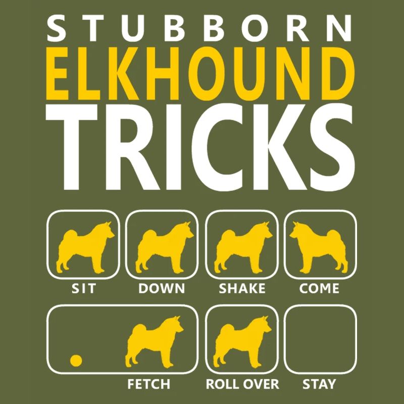 Stubborn Elkhound Tricks