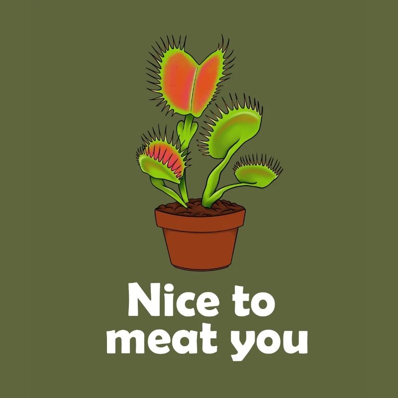 Venus flytrap carnivorous plant gift