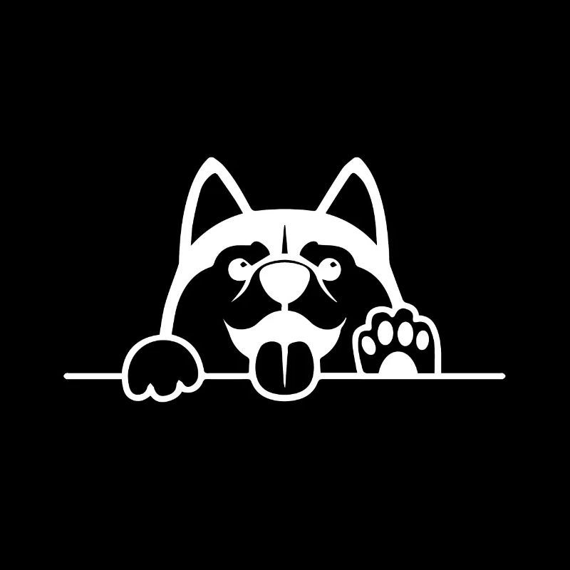 Husky Hund mit Pfote