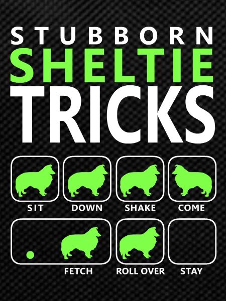 Stubborn Sheltie Tricks