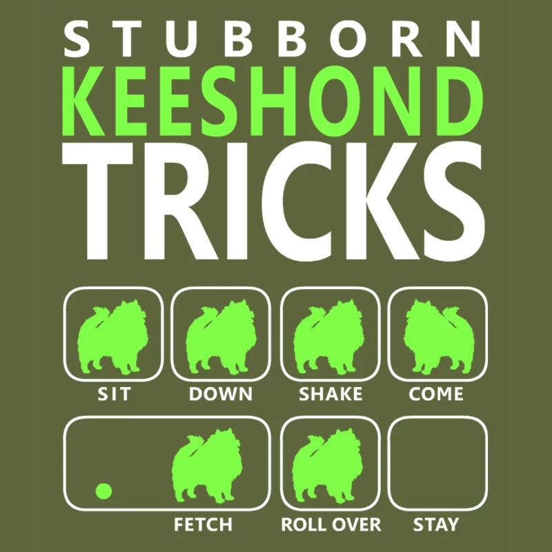 Hartnäckige Keeshond-Tricks