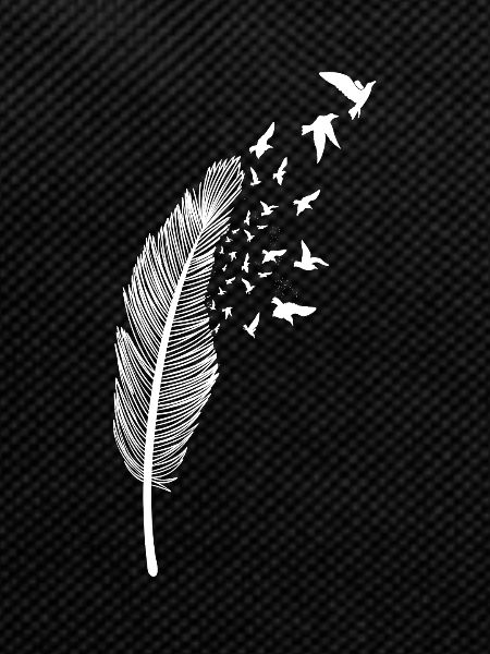 Feather and bird white