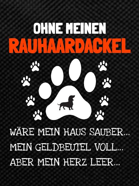 Rauhaardackel Hund