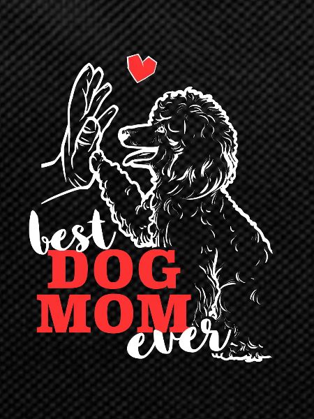Beste Pudel Mama Poodle Hund