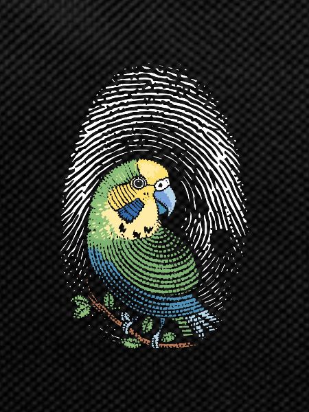 Parakeet Fingerprint Creative Parakeet