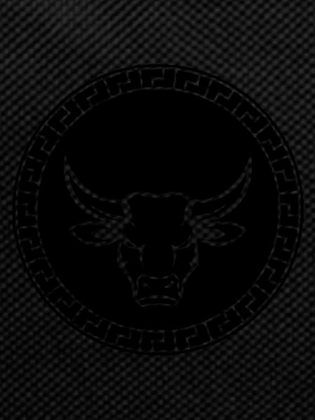 bulle stier 001
