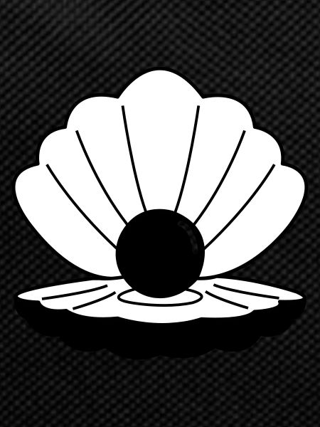 shell 02