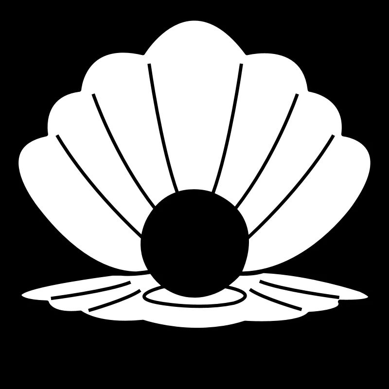 shell 02