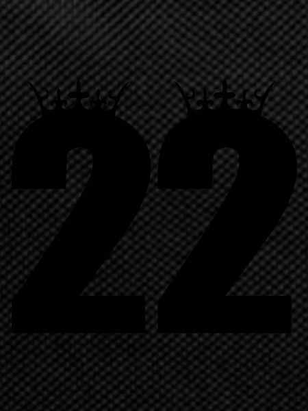 22 king