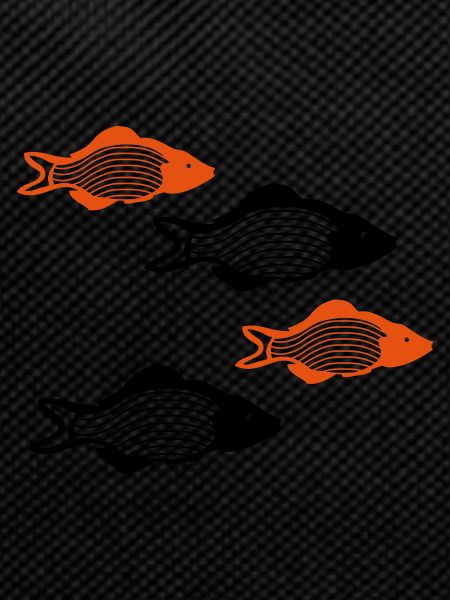 poisson