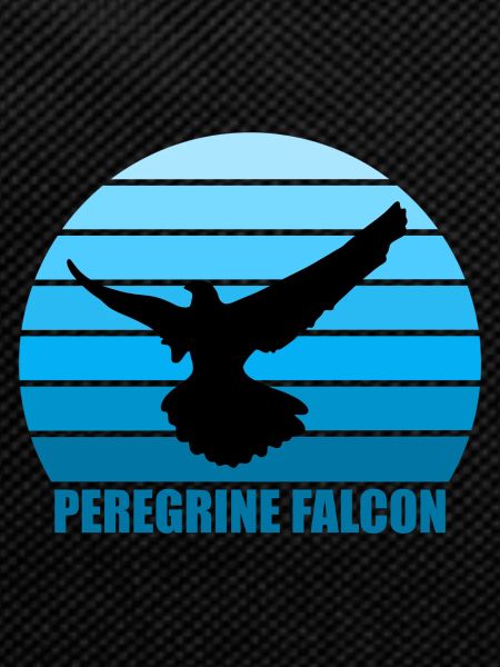 Peregrine Falconry Falconry Gift