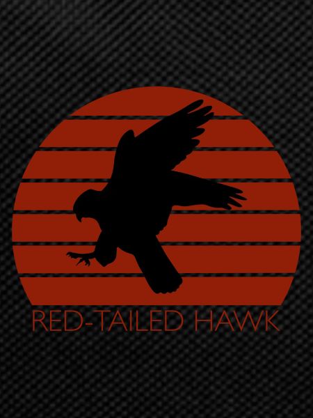 Red Tailed Falconry Falconry Gift