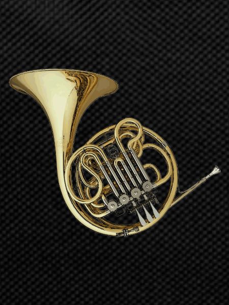 double Horn