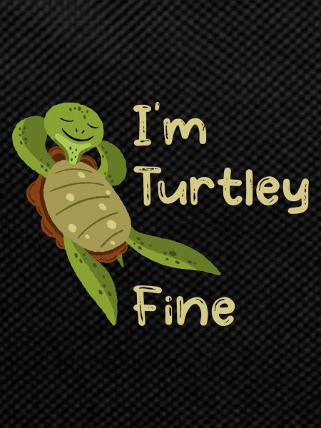 Turtle Turtle Pun Gift