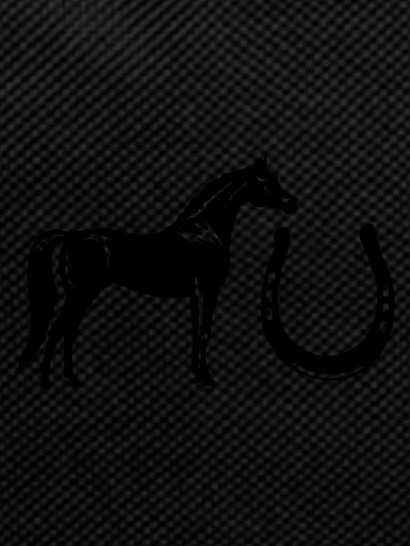 horse horseshoe