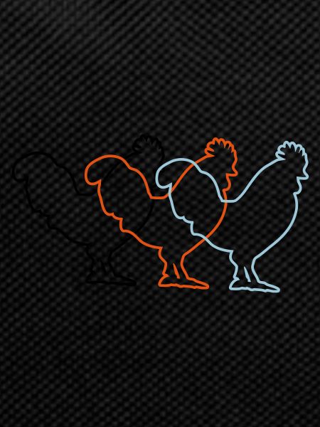 chicken designs